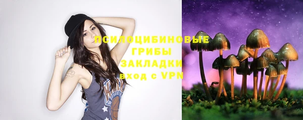 apvp Горно-Алтайск