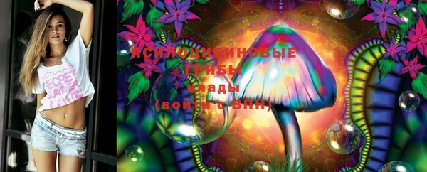 apvp Горно-Алтайск