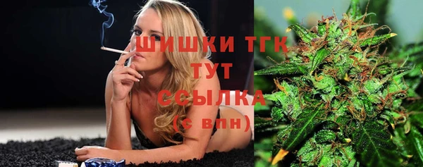 экстази Горняк