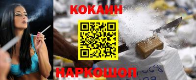 прущие крисы Кингисепп