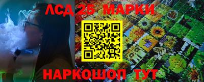 прущие крисы Кингисепп