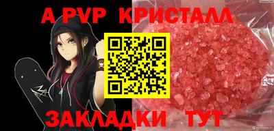 прущие крисы Кингисепп