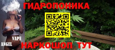 скорость Кинель