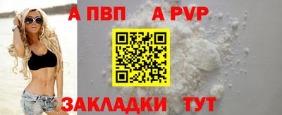 прущие крисы Кингисепп