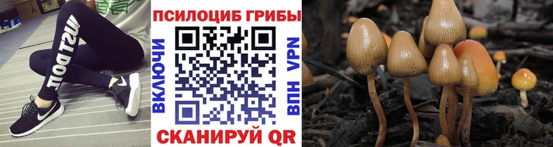 kraken ссылки  хочу наркоту  Москва  Галлюциногенные грибы мицелий 