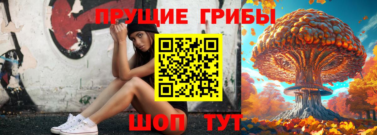 Москва  Псилоцибиновые грибы GOLDEN TEACHER  Галлюциногенные грибы Psilocybine cubensis  Вход с VPN 